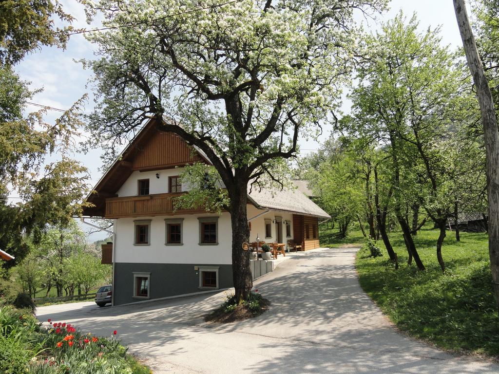 Farm Stay Dolinar Krainer Bohinjska Bela Exterior foto